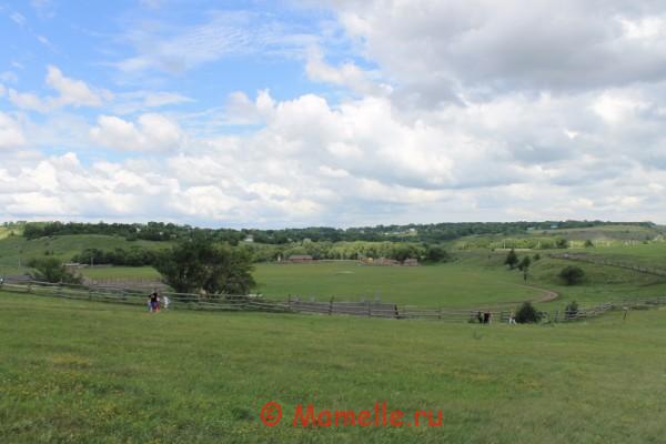 кудыкина гора сафари парк